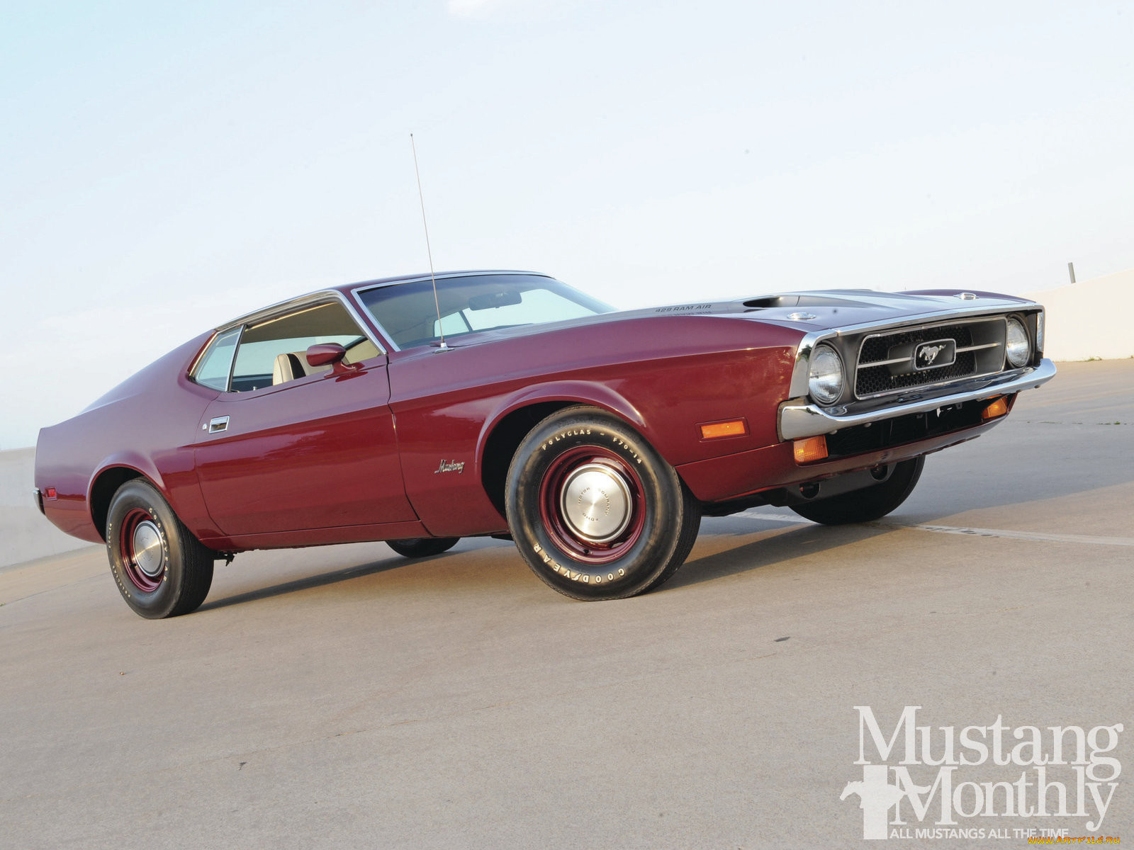 1971, sjc, sports, roof, built, to, race, , mustang